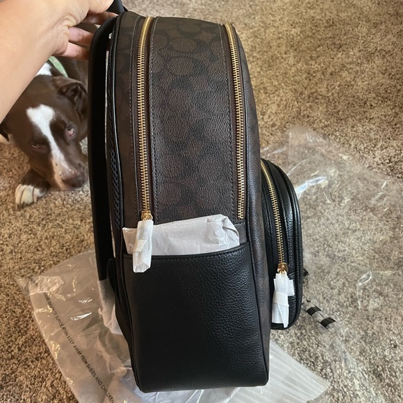 Large Court Backpack In Signature Canvas Black / Brown - Picture 8 of 15